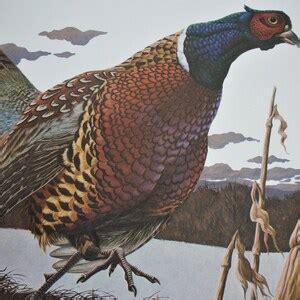 Authentic Signed Richard Sloan Off Set Lithograph Ring Necked Pheasant