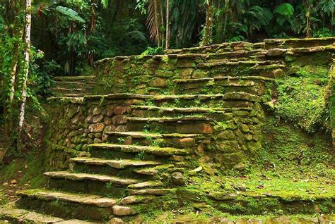 Ciudad Perdida ruins, Tayrona 7435631