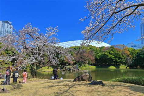 【東京賞櫻】10大必訪東京櫻花勝地、東京夜櫻・夜間點燈推薦景點！最佳賞櫻時間、交通方式全攻略 步步日本