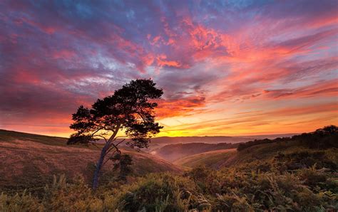 Bakgrundsbilder himmel solljus natur träd landskap 2048x1290