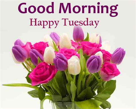 Good Morning Happy Tuesday With Beautiful Flowers In 2021 Good Morning Happy Good Morning