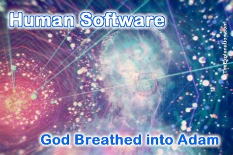 Human Software — God Breathed Neshama into Adam | by Sam Kneller ...