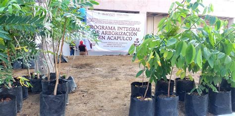 Arranca Gobierno Municipal programa Integral de Arborización en