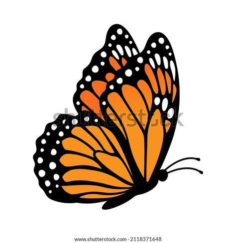 Orange Butterfly Side View Isolated: Over 123 Royalty-Free Licensable ...