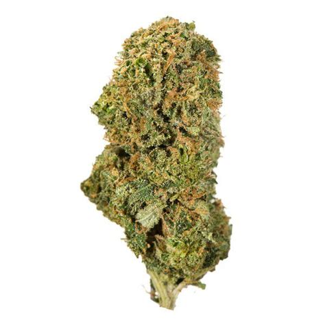 Buy Hybrid Weed Strains Online UK & Ireland - Hybrid weed flowers UK