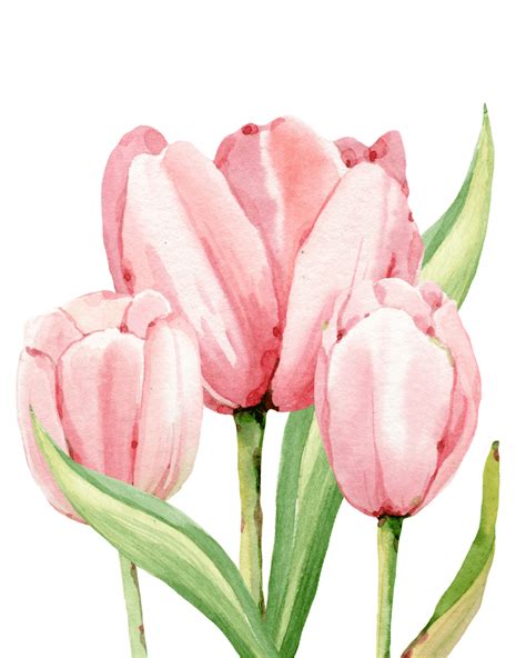 Watercolor Tulips Free Print - Refresh Restyle