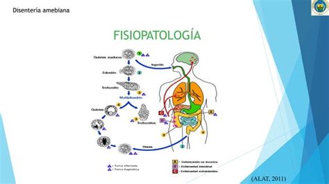 Caso Clinico Amebiasis Y Tratamiento Basado En Evidencia