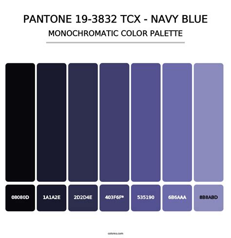 PANTONE 19-3832 TCX - Navy Blue color palettes - colorxs.com