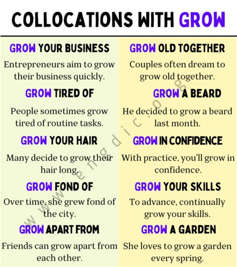 Collocations With Grow Grow Collocations List Engdic