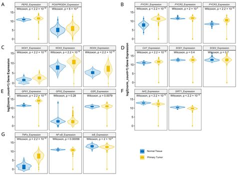 Antioxidants Free Full Text Redox Biomarkers And Matrix Remodeling