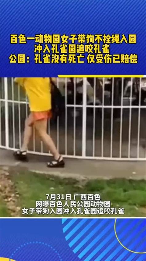 百色一动物园女子带狗不栓绳入园百色市孔雀狗新浪新闻