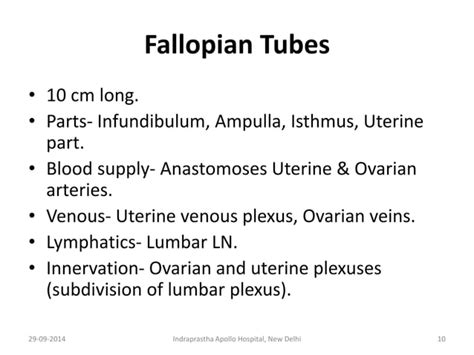 Anatomy For Anaesthesia Nerve Supply Of Uterus And Cervix