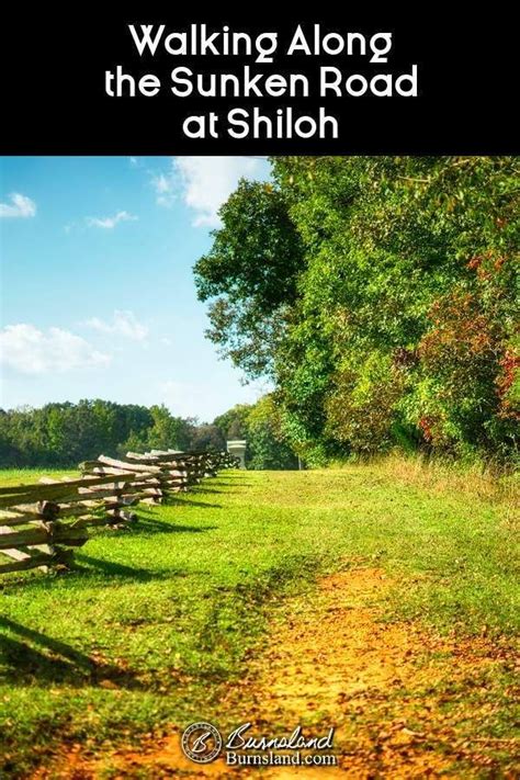 Walking Along The Sunken Road At Shiloh National Military Park