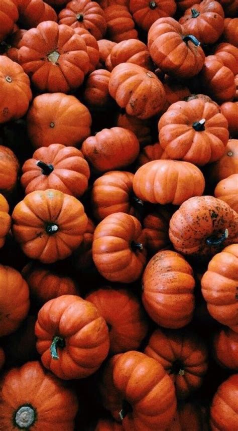 Vsco Foreverspookyseason Iphone Wallpaper Fall Orange Aesthetic