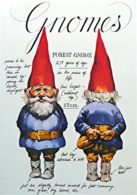 Pamphlets of Destiny: Gnomes