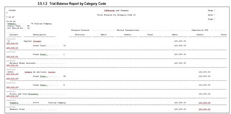 Print The Trial Balance Report