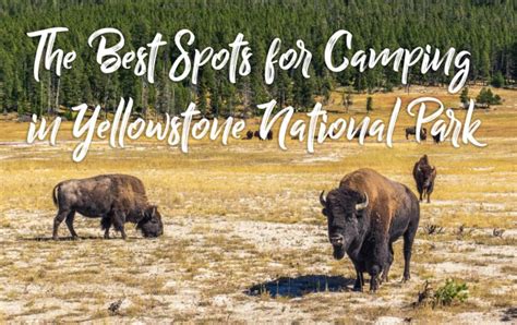 The Best Spots for Camping in Yellowstone National Park