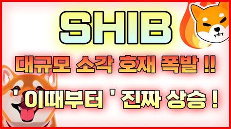 시바이누 코인 대규모 소각 호재 폭발 이때부터 진짜 상승 시작이다 시바이누전망 시바이누분석