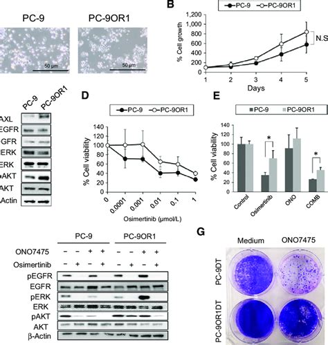 Osimertinib Acquired Resistant Cells Are Insensitive To Combined