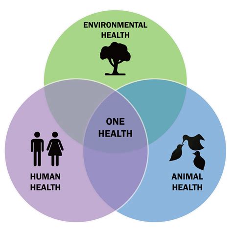 Understanding Emerging Zoonotic Diseases On A Global Scale With Dr