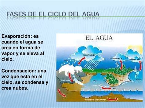 Esquema Del Ciclo Del Agua Y Sus Fases Ciclo Del Agua Images