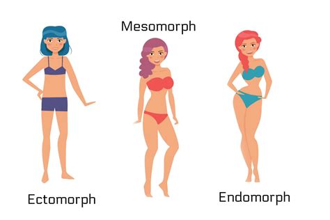 Learning my body type: The Endomorph (aka: fat retainer) - Eryn Whalen