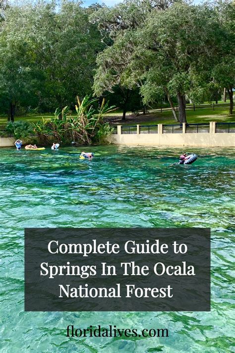 Springs in the ocala national forest – Artofit