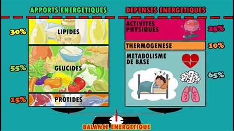 Balance Energetique Et Metabolisme De Base Youtube