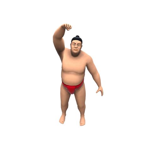 SUMO wrestler 3D Model