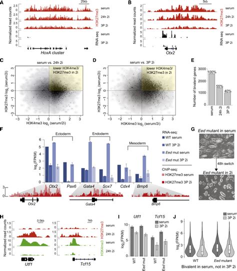 Ground State Conditions Induce Rapid Reorganization Of Core