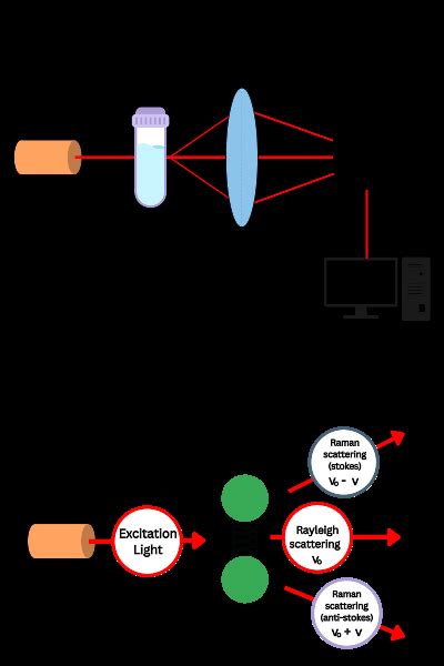 Types Of Raman Spectroscopy And Their Applications