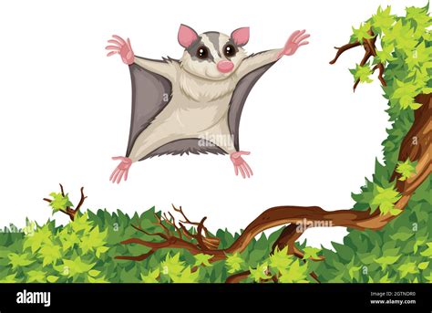 Flying Squirrel Flying Over The Tree Stock Vector Image And Art Alamy