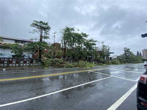 新聞 花蓮護理師母子遭女兒牆重砸1死1重傷 駕駛父淚憶「停不到1秒就發生」 Womentalk板 Disp Bbs