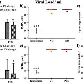 Histograms Showing The Body Weight Loss After Viral Challenge With A