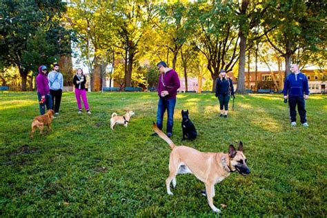 11 Best Of New York Dog Parks Free And Paid What Can Dogs Eat