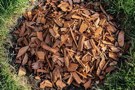 Comment Faire Des Copeaux De Bois Pour Jardin Guide Pratique Et