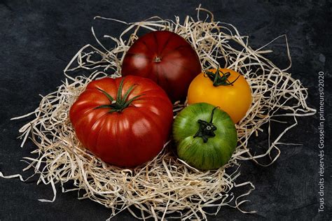 Achat Tomate saveur d antan livraison domicile à Paris en 2h