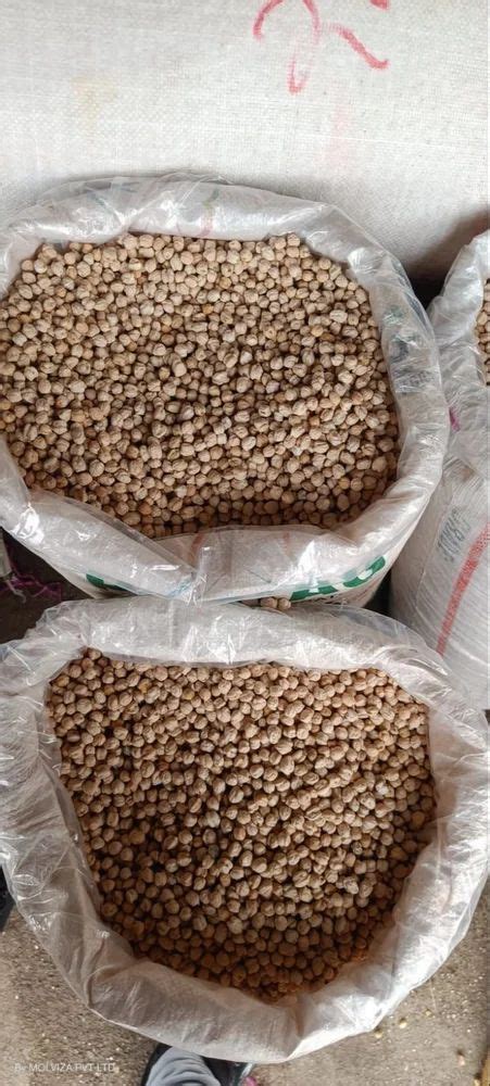 Kabuli Chana Packaging Type Bag At Best Price In Surat Id