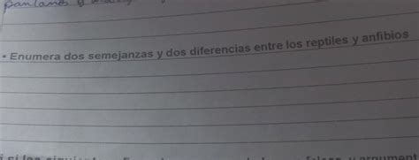 Enumera Dos Semejansas Y Dos Diferencias Entre Los Reptiles Y Anfibios