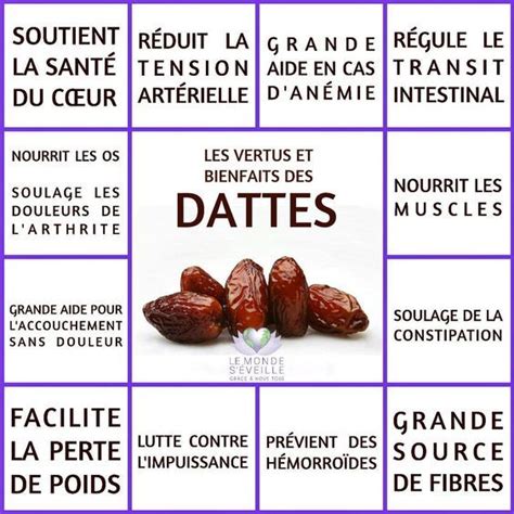 La Place De La Datte Dans L Alimentation En Islam