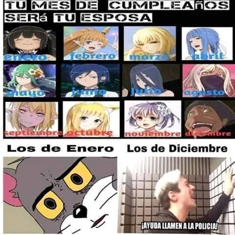 Danmachi Memes Parte Memes Im Genes Divertidas Meme Divertido