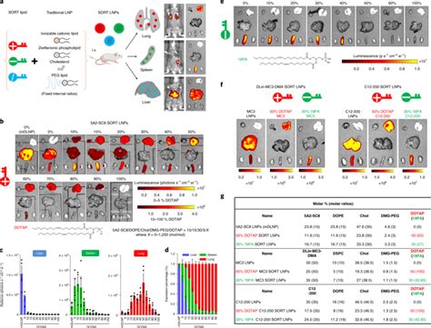 Selective Organ Targeting SORT Nanoparticles For Tissue Specific MRNA