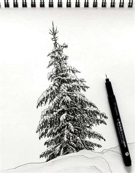 How To Draw A Realistic Pine Tree