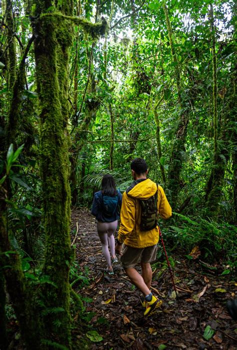 Senderismo En Panam Rutas De Caminatas Parques