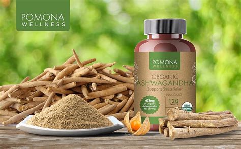 Amazon Pomona Wellness Suplemento Org Nico De Ashwagandha Para