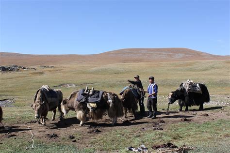 9 Tage Pferdetrekking Ins Mongolische Kernland