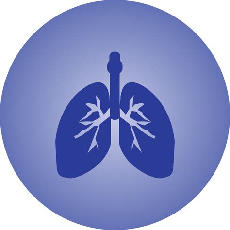 Beautiful Lungs Vector Glyph Icon 16971093 Vector Art At Vecteezy