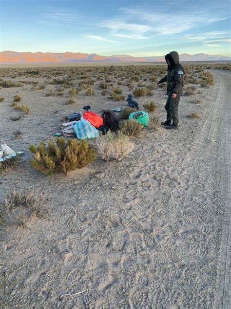 Confiscaron Kilos De Hojas De Coca En San Antonio De Los Cobres