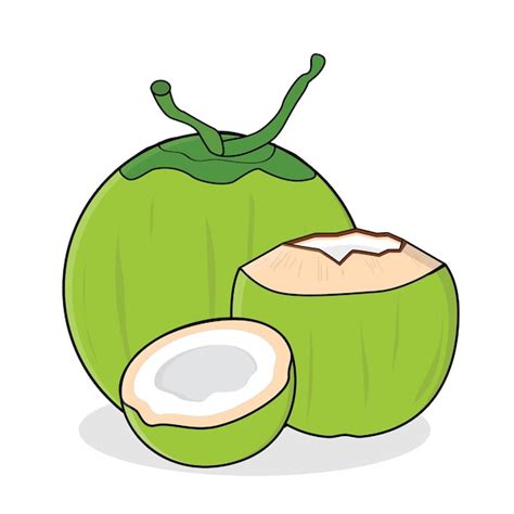 Coco fresco agua de coco vector de coco diseño de logotipo ilustración