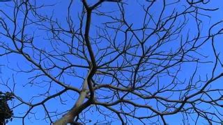 Katya Sambuca Free Porn Star Videos XHamster